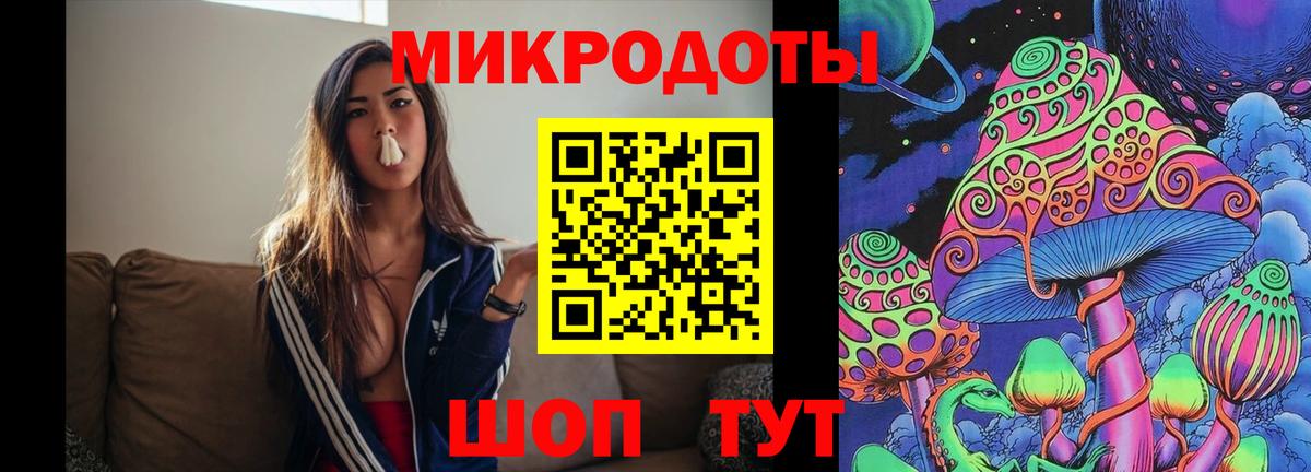 Псилоцибиновые грибы прущие грибы Шахты